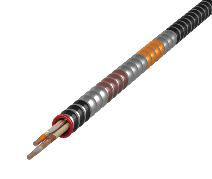 Armored Cable (Type AC)